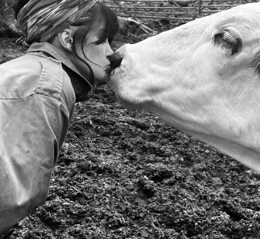 Something of Shropshire, Sheep and Serge